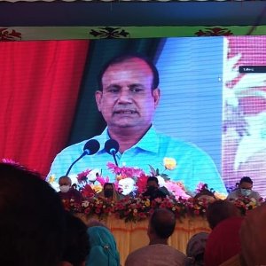 A. K. M. Tafzal Haque
